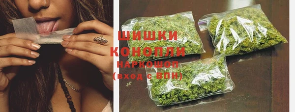 PSILOCYBIN Балабаново