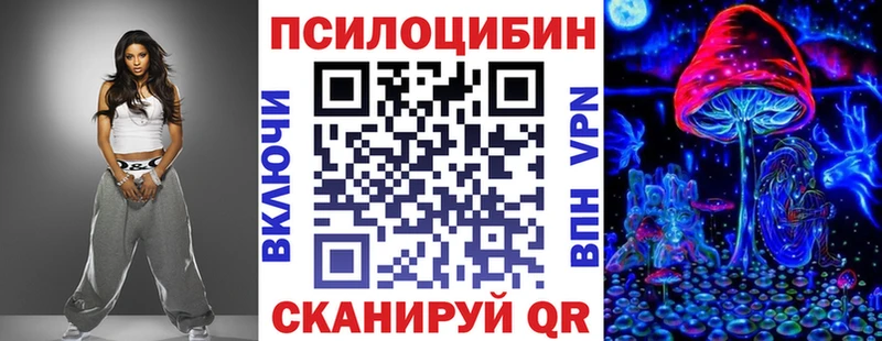 OMG ONION Вичуга Псилоцибиновые грибы мицелий